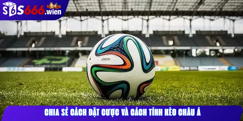 Chia sẻ cách đặt cược và cách tính kèo châu Á 